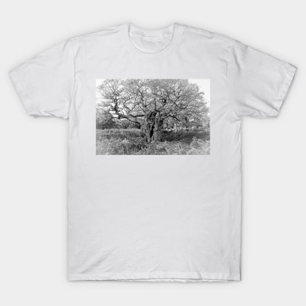 Royal Oak, Richmond Park T-Shirt by GrahamPrentice